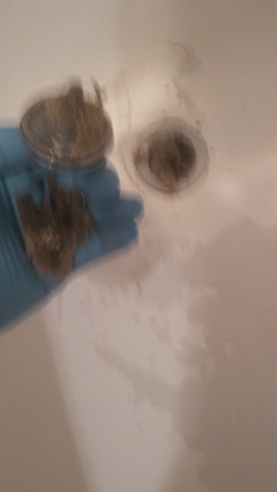Clogged bathtub drains are normal and I always remove the clog if possible.